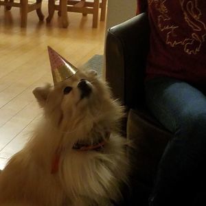 Meet your Posher, Beverlee